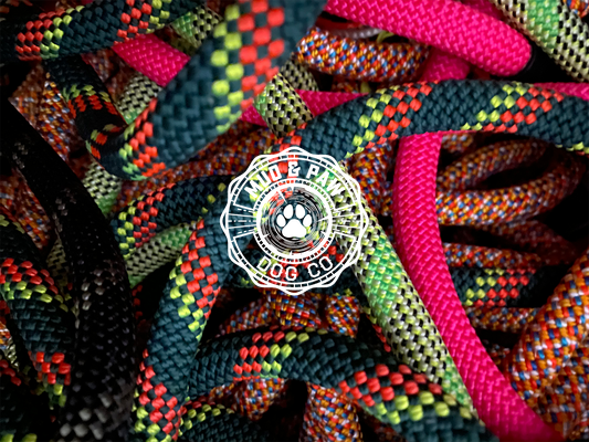 The Best Way to Get a Unique Leash: Donate Your Old Climbing Rope