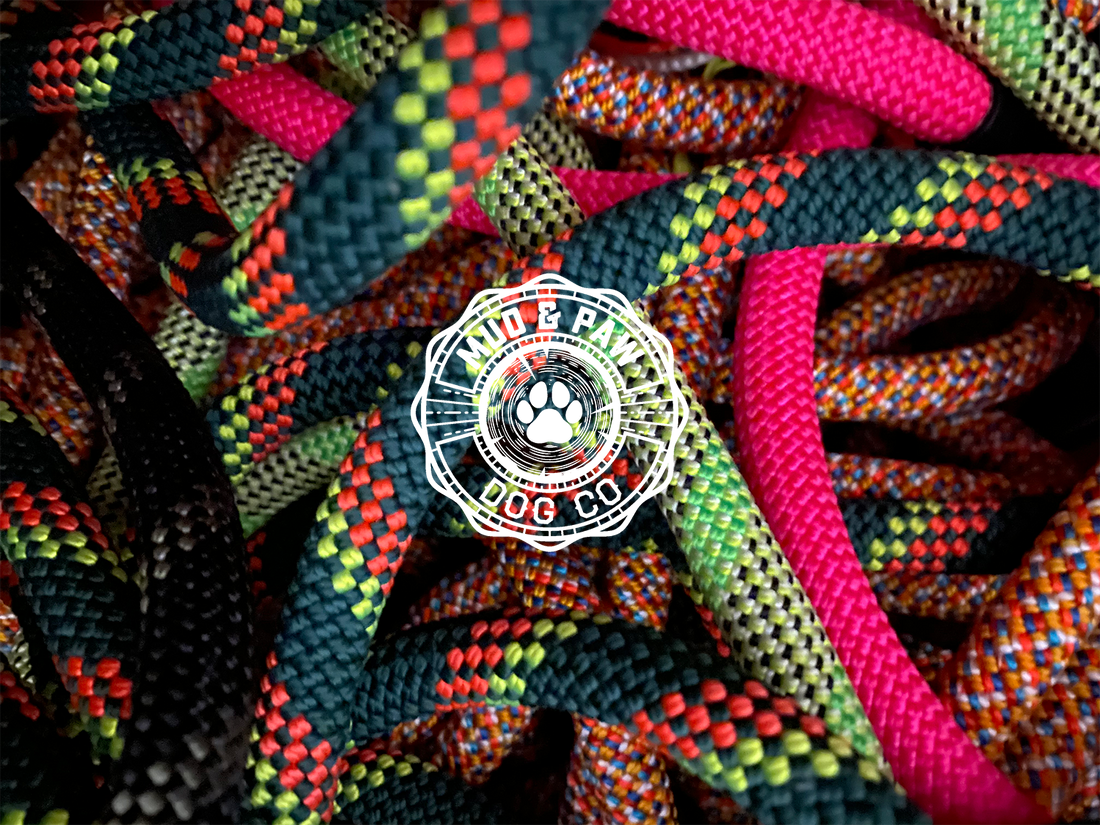 The Best Way to Get a Unique Leash: Donate Your Old Climbing Rope