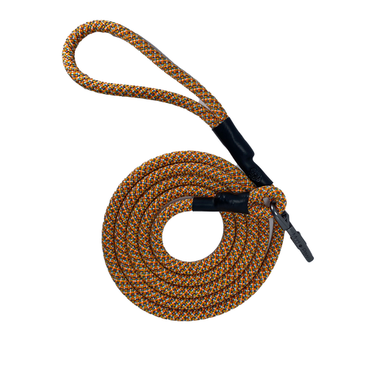 Sunset Trail handmade leash
